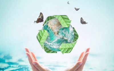 Ways to Be More Eco Friendly in 2021