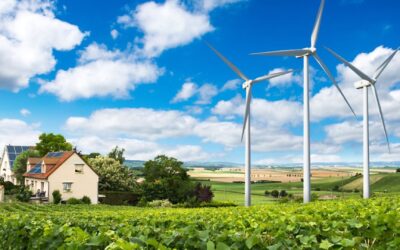 Exploring the Green Revolution – Eco-Friendly Companies Leading the Way in France