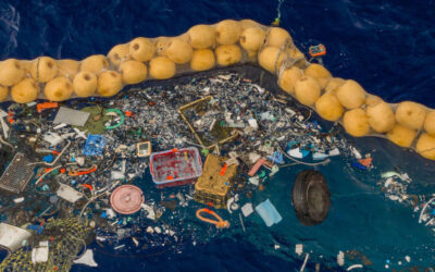The Great Ocean Cleanup: Tackling Plastic Pollution with Autonomous Trash Collectors