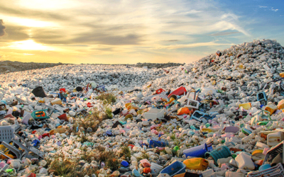 Plastic Pollution Pandemic: Analyzing Global Trends and Local Solutions