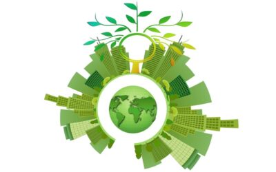 The Business Case for Eco-Friendly Practices: Sustainability as a Competitive Advantage