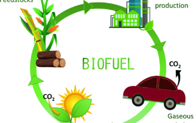 Sustainability at its Core: The Environmental Benefits of Biomass Energy